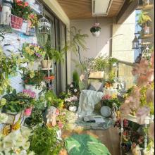 真沒想到人生的輝煌，是裝修了一套夢中情房